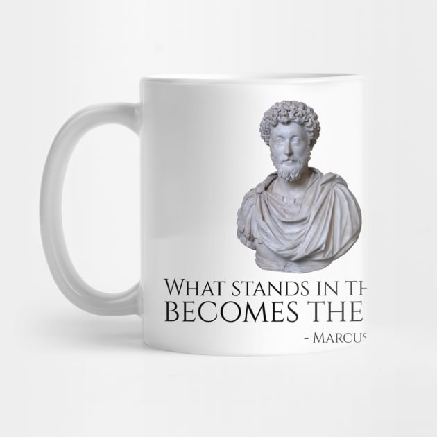 Marcus Aurelius Philosophy Stoicism Motivating Ancient Rome by Styr Designs